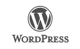 CMS technologies - Wordpress